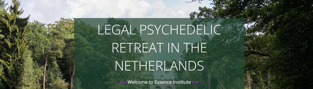 nederlands instituut